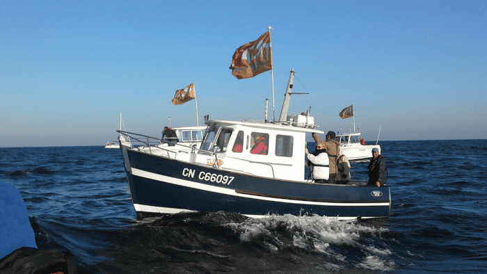 Bateau à moteur - formation pilote