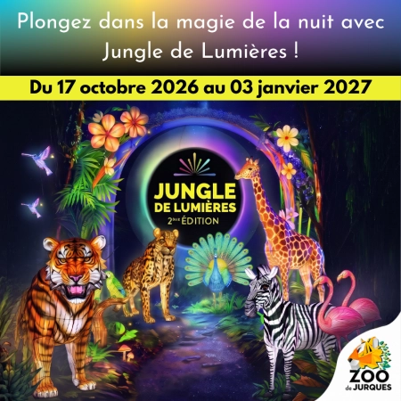 Jungle de Lumières au Zoo de Jurques Jungle de Lumières au Zoo de Jurques