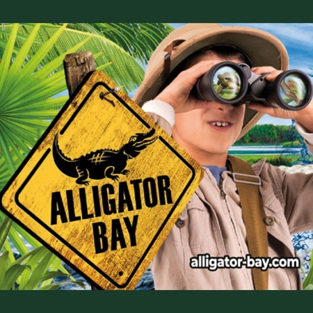 Explorez le monde fascinant d'Alligator Bay Explorez le monde fascinant d'Alligator Bay