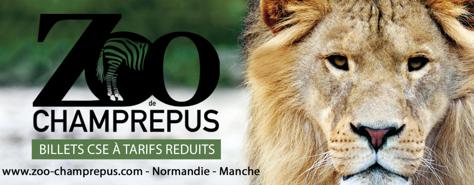 Une journée d'évasion au Zoo de Champrépus Une journée d'évasion au Zoo de Champrépus